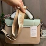 Top view looking into the open CIEICI handbag showing multiple inner compartments and central zipper divider pocket.